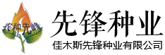 青島產(chǎn)權(quán)交易所logo
